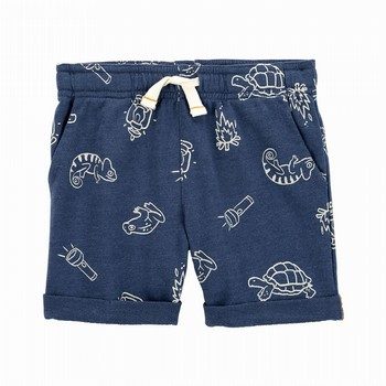 Turtle Pull-On French Terry Shorts