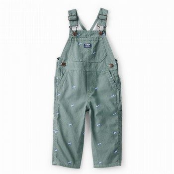 Race Car Print Overalls