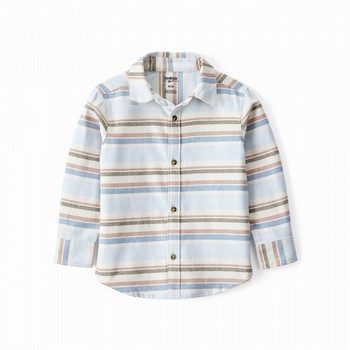 Striped Long-Sleeve Button-Down Shirt
