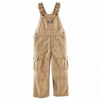 Cargo Canvas Overalls