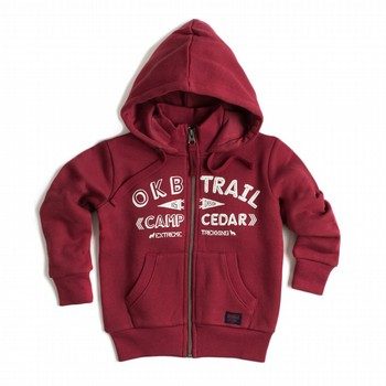 Trail Hoodie